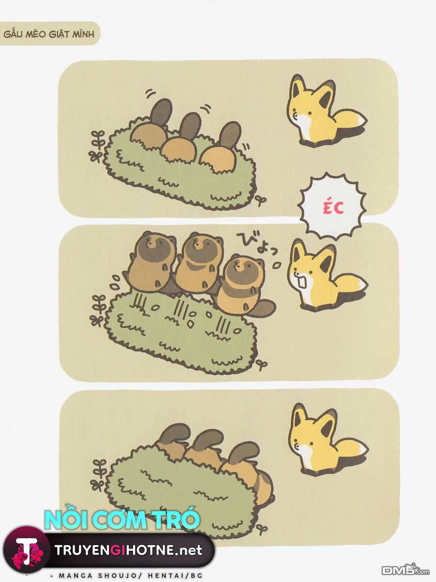 cáo và gấu mèo chapter 2 11