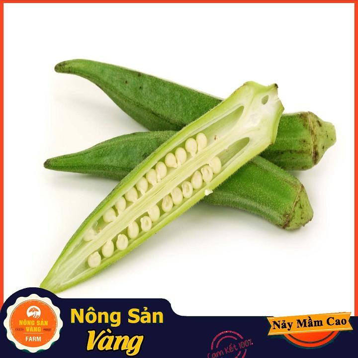Hạt giống Đậu Bắp Cao Sản