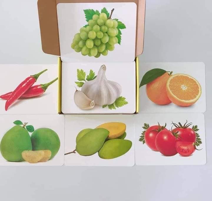 Thẻ Học Thông Minh Cho Bé, Bộ 100 Thẻ Flashcard Về Thế Giới Xung Quanh Với 14 Chủ Đề