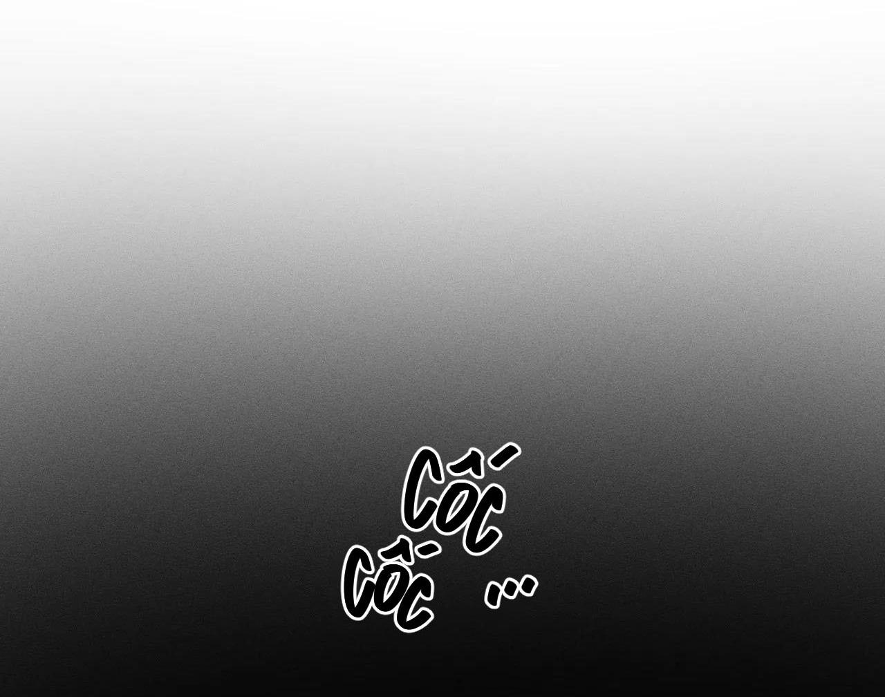 bẫy đôi ngọt ngào chapter 25 49