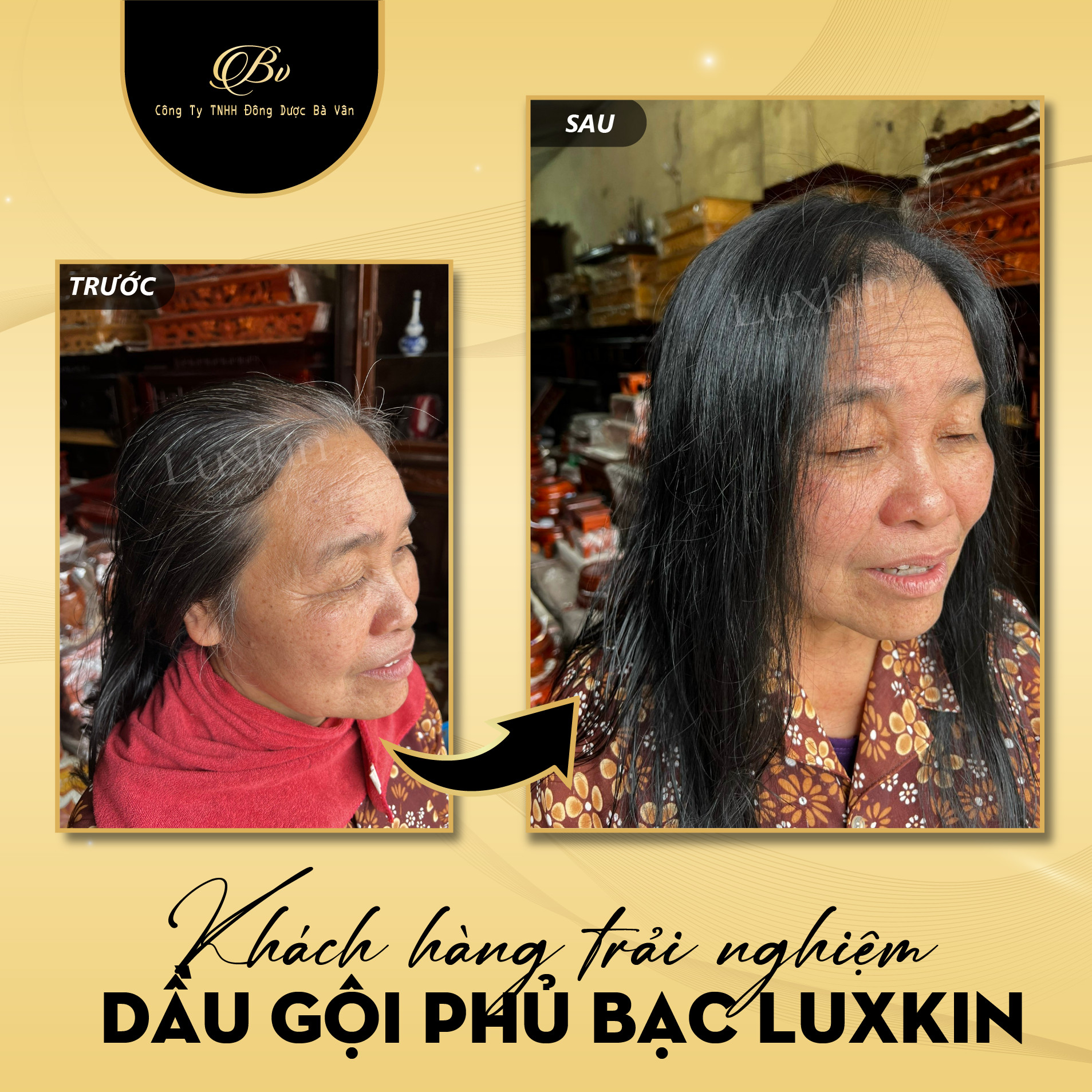 Dầu Gội Phủ Bạc Thảo Dược LUXKIN 200ml - Sản phẩm của đông dược bà Vân