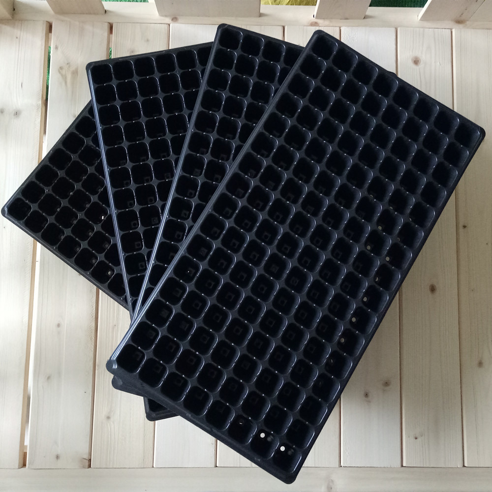 Bộ 5 khay ươm hạt giống 128 lỗ