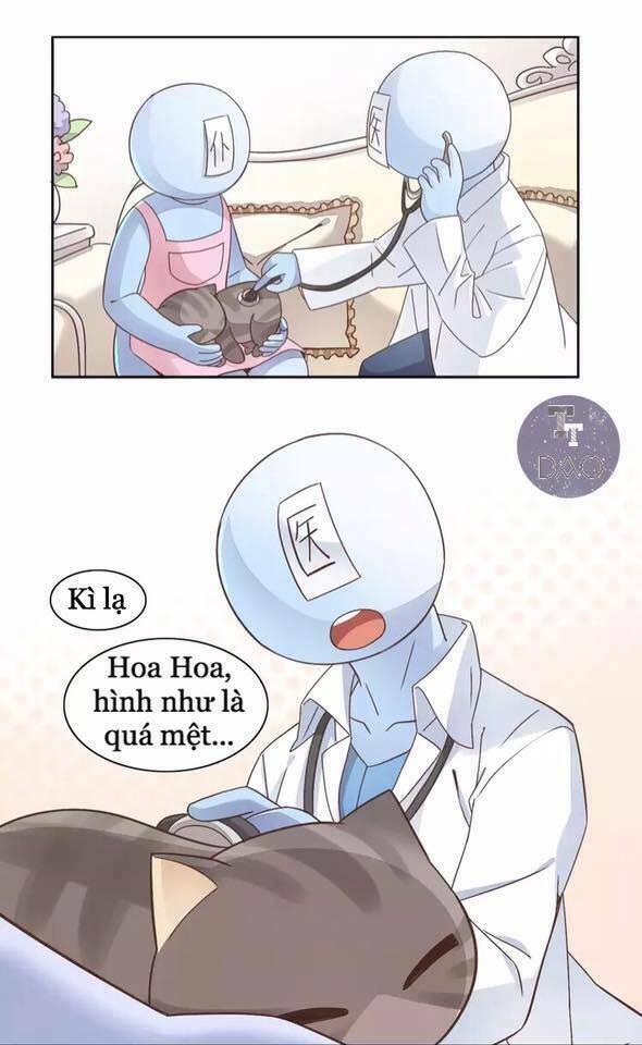 dưới móng vuốt mèo chapter 19 9