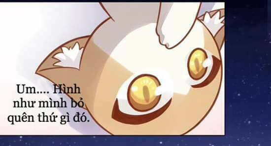 dưới móng vuốt mèo chapter 8 53