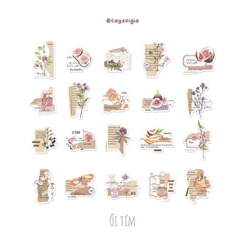 S78 - Set 20 stickers washi nhánh cây hoa quả vintage cổ điển PaperMore trang trí sổ bullet journal