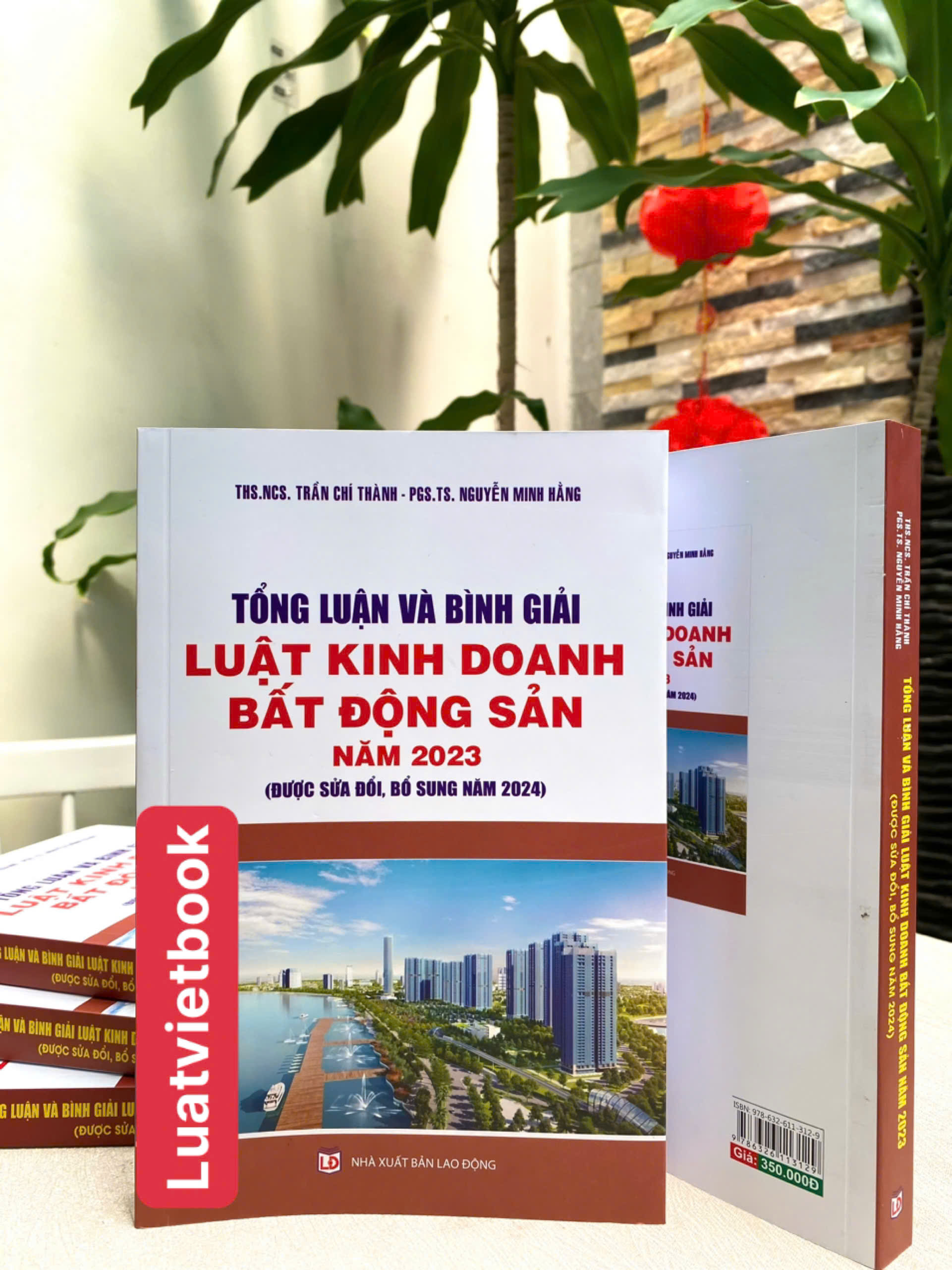 Tổng Luận Và Bình Giải Luật Kinh Doanh Bất Động Sản Năm 2023 ( Được sửa đổi, bổ sung năm 2024 )