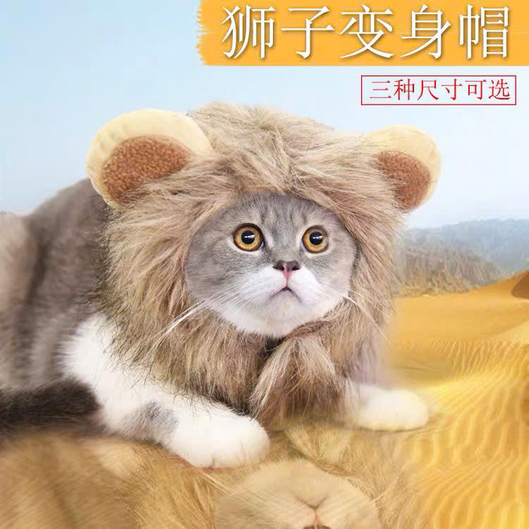 MŨ SƯ TỬ CHO THÚ CƯNG CHÓ MÈO