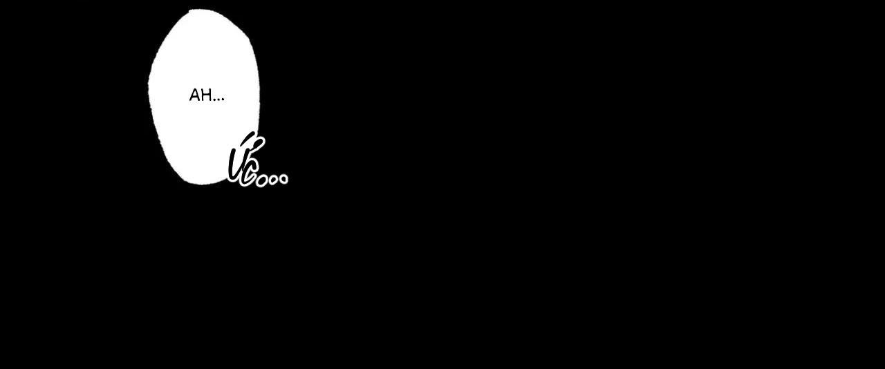 bẫy đôi ngọt ngào chapter 21 64