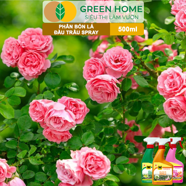 Bộ 3 Phân Bón Lá Đầu Trâu Spray 1, 2, 3 Greenhome, Bình Điền, Chai 500ml, Cao Cấp, Chuyên Cho Hoa Kiểng