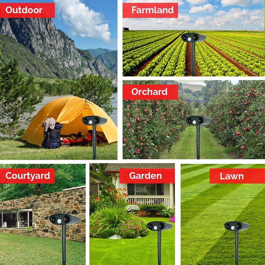 Máy đuổi chim gây hại trên đồng năng lượng mặt trời