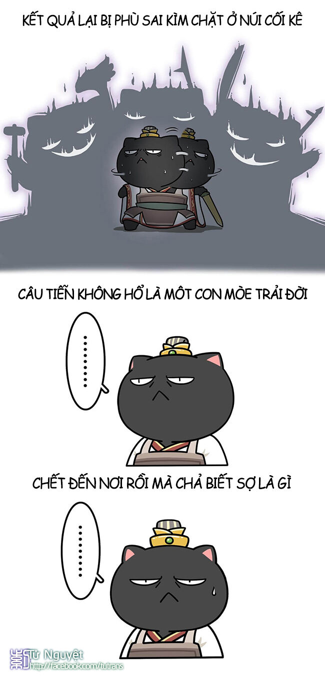 nếu lịch sử là một bầy mèo chapter 18 16