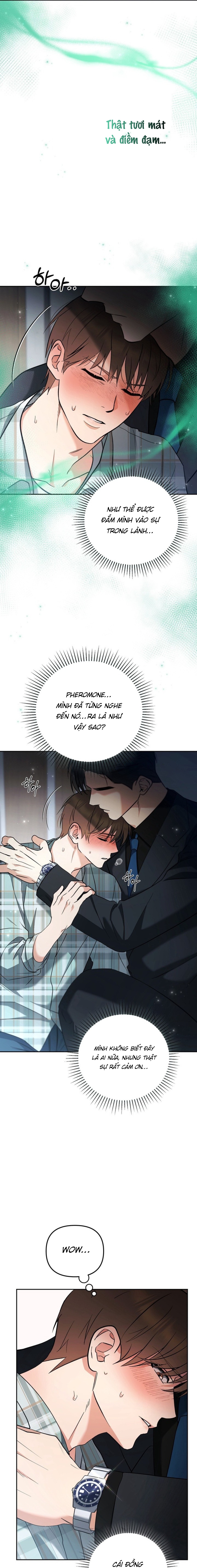 lãng mạn ảo tưởng chapter 1 29