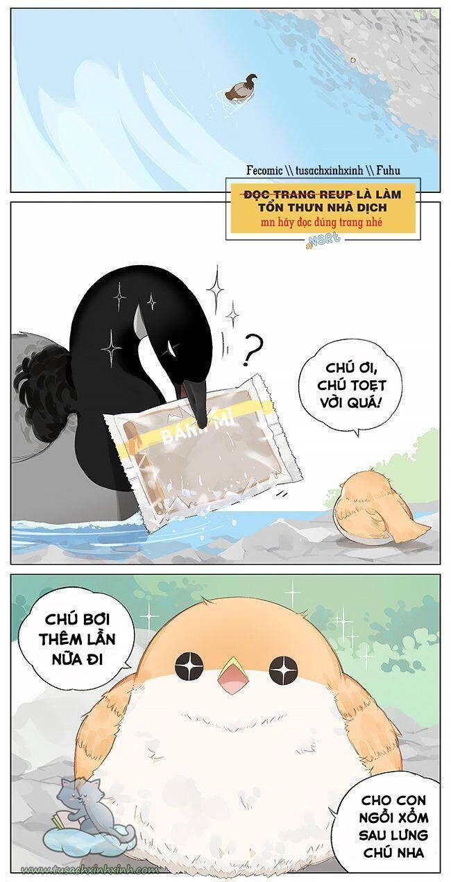 chim sẻ gọi ngỗng trời chapter 8 6