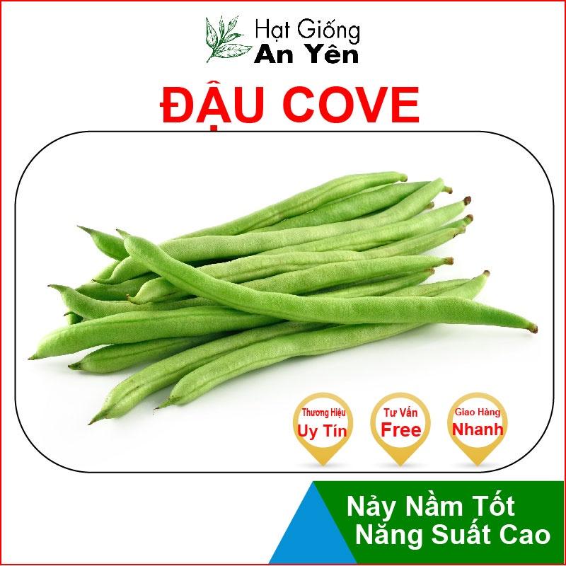 Hạt giống Đậu Cove F1 thu hoạch sớm, dễ trồng, nảy mầm cao, sinh trưởng khoẻ
