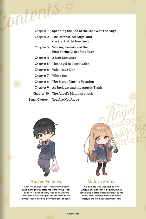 Sách ngoại văn: The Angel Next Door Spoils Me Rotten 2 (Light Novel - English Edition)