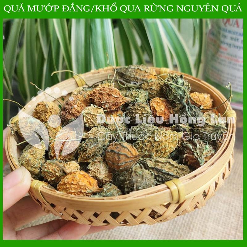 ✅ 1kg Trái khổ qua rừng nguyên quả khô sạch