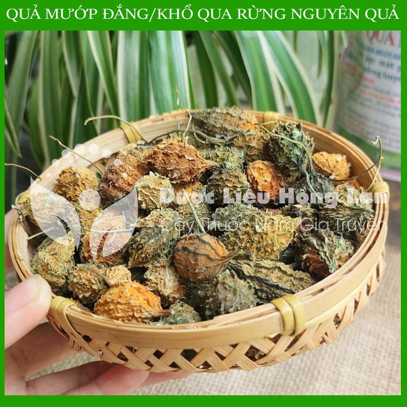 ✅ 1kg Trái khổ qua (Mướp đắng) rừng nguyên quả khô sạch