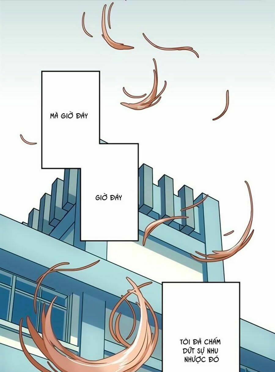 bài hát tình yêu chapter 8 33