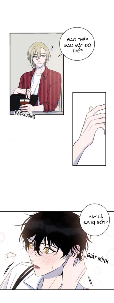 khẩu vị và sự tôn thờ của người yêu tôi chapter 19 9