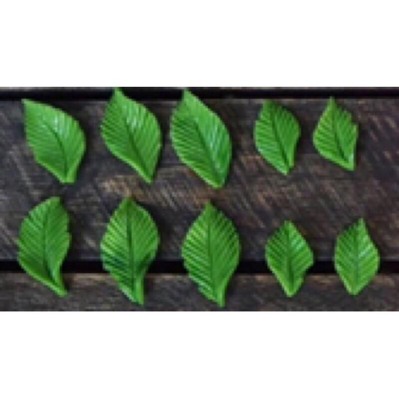 Khuôn silicon lá Gân