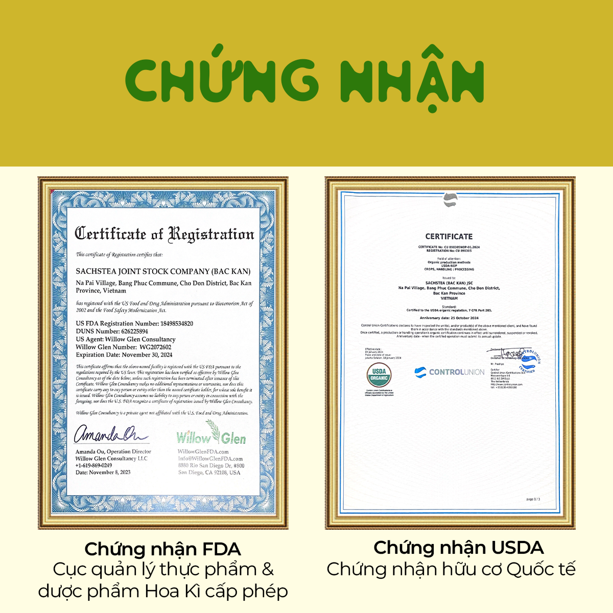 Trà Xanh Shan Tuyết Cổ thụ Loại Hảo hạng | 100% chứng nhận hữu cơ USDA Organic Hoa Kỳ | Loại Búp và Nguyên Lá | Thơm mật ong, Đậm vị, ngọt hậu sâu 100g