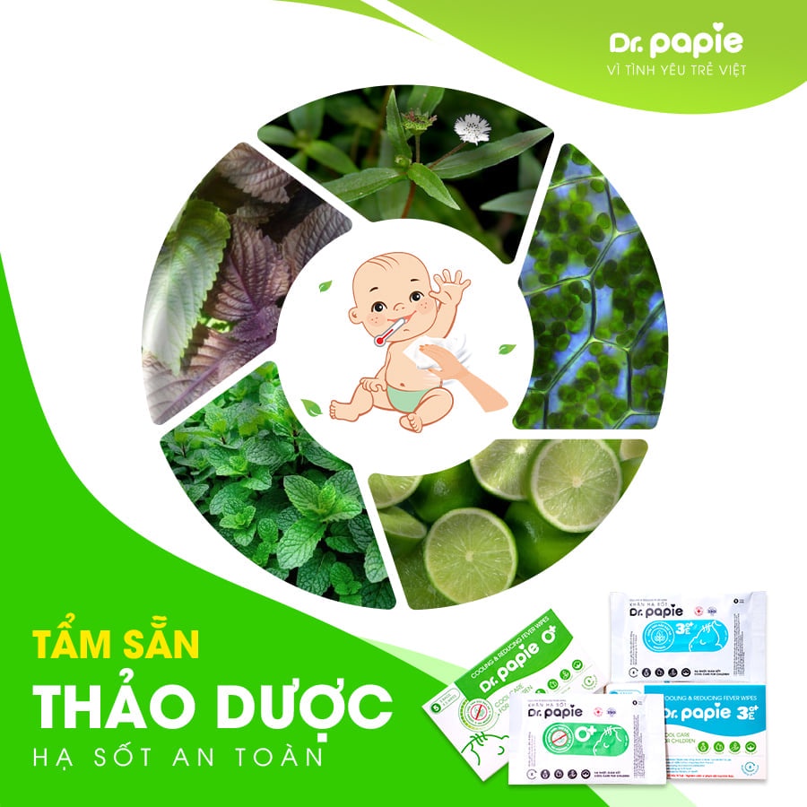 Combo 2 Hộp Khăn Lau Hạ Sốt Dr.Papie 3+ Cho Bé Hạ Nhiệt Giảm Sốt Ngăn Ngừa Co Giật