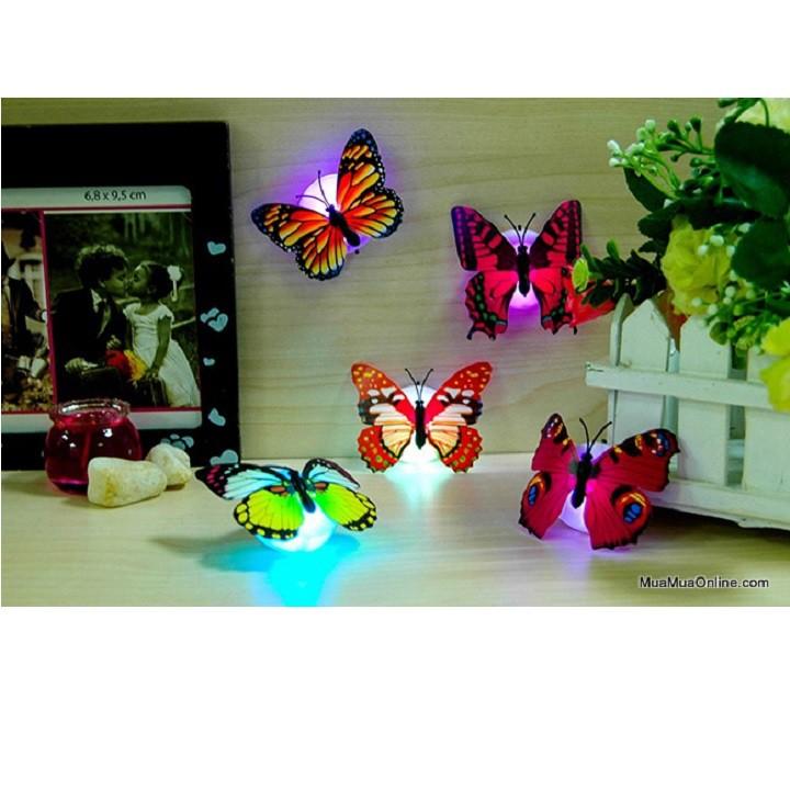 ĐÈN LED DÁN TƯỜNG | ĐÈN LED TRANG TRÍ | ĐÈN LED HÌNH BƯƠM BƯỚM