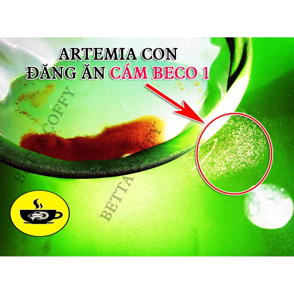 Ống trữ Artemia 15ml Nắp màu Xanh hoặc Cam
