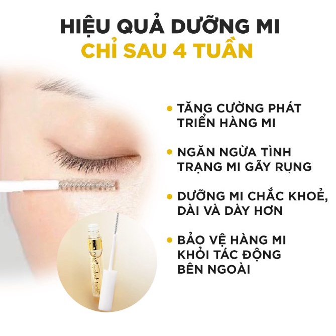 Tinh chất dưỡng mi DHC Eyelash tonic 6,5ml mi cong mi dài mi dày