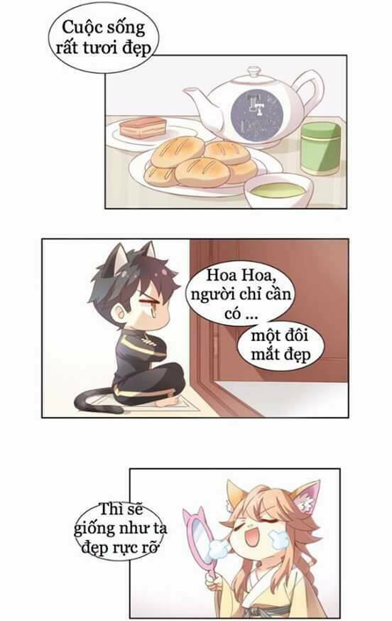 dưới móng vuốt mèo chapter 2 11