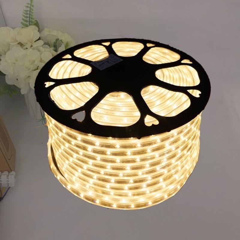Đèn Led Dây 2 Hàng 2835 trang trí,Led cuộn,Led hắt siêu đẹp,siêu bền
