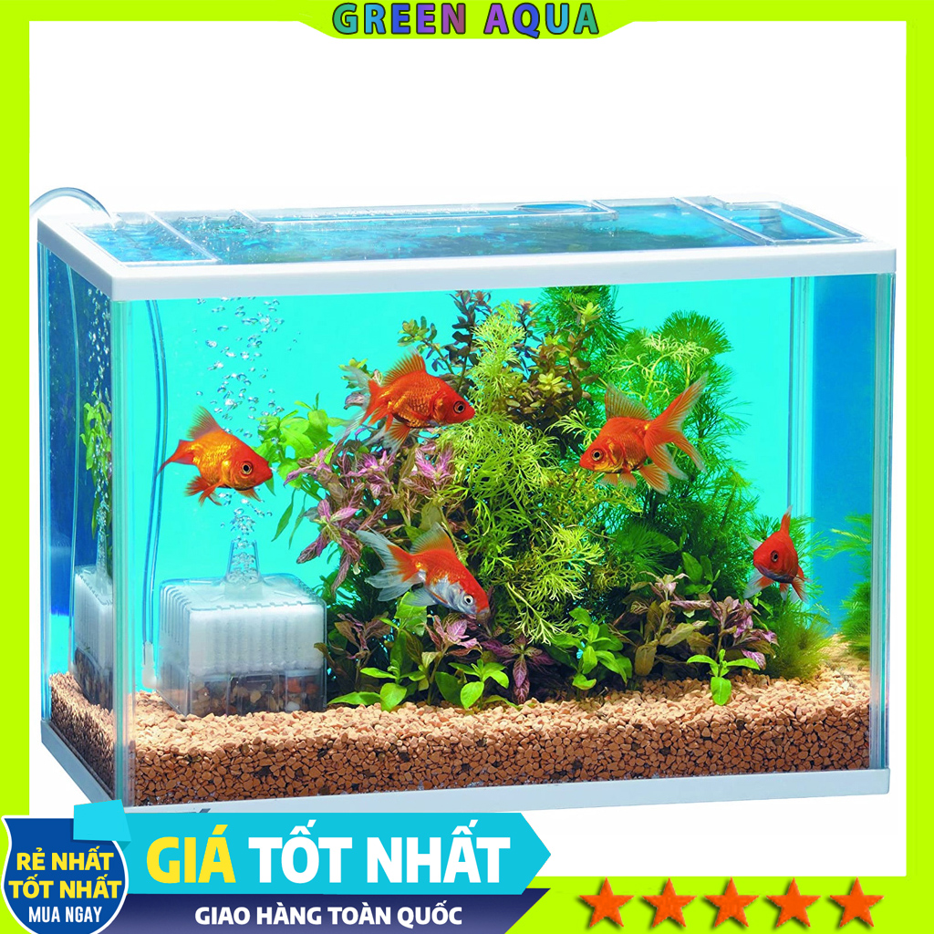GEX - Roka Boy M | Lọc Bio mini làm sạch bụi nước và tạo vi sinh cho hồ cá cảnh thủy sinh