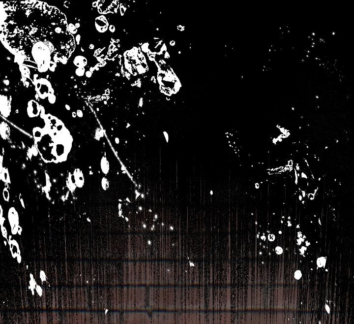 [18+] hoa là mồi nhử chapter 11 70