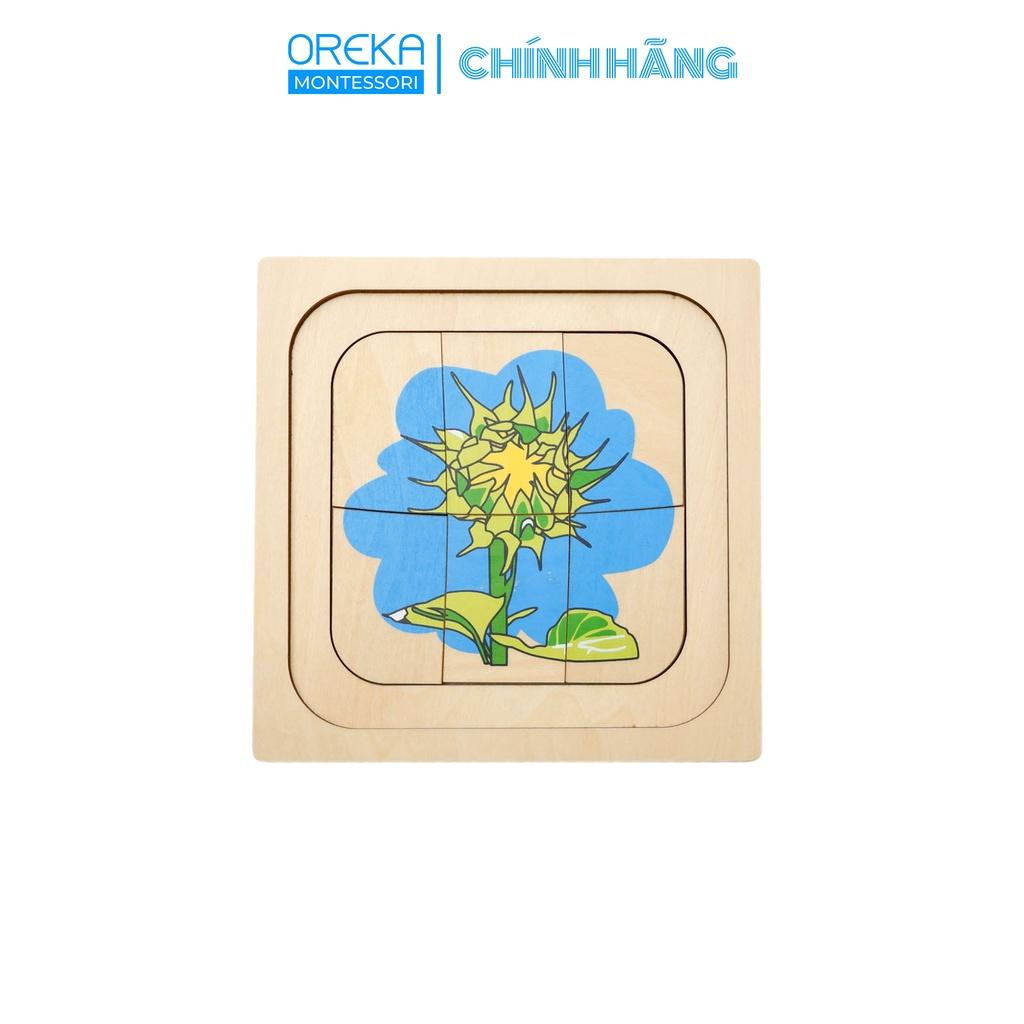 Đồ chơi trẻ em Oreka Montessori Ghép hình thực vật: Sự phát triển của Hoa hướng dương - 0610800