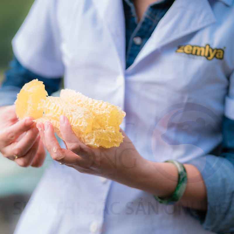 Bộ 2 chai Mật ong rừng Hoa Yên Bạch 500g: Mật ong Tây Bắc - tặng 1 chai cùng size