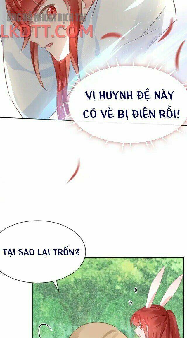 hắc hóa nam chính trực tuyến nuôi thỏ chapter 24 13