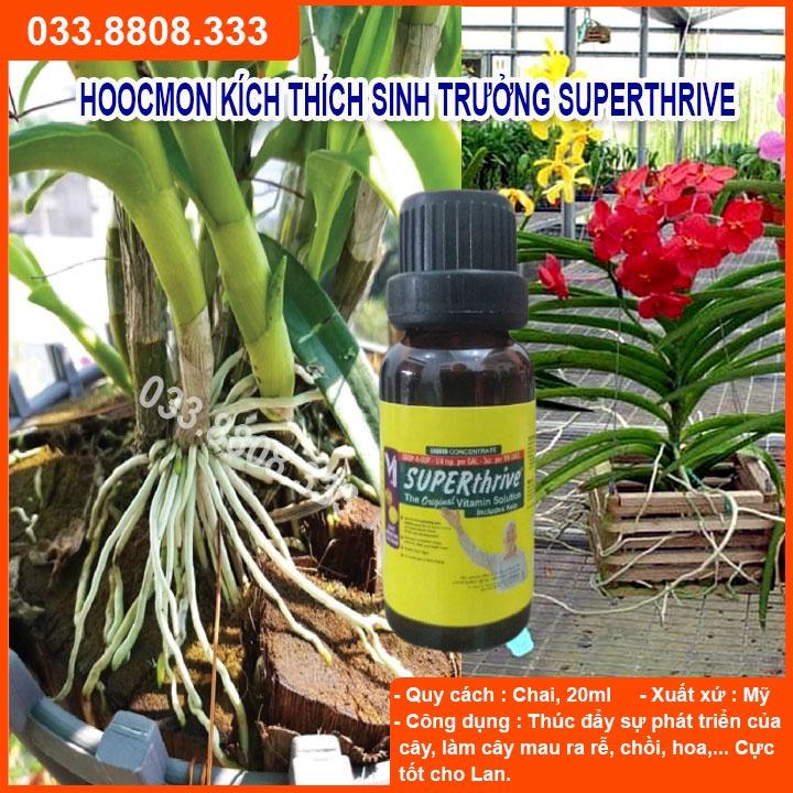 SUPER THRIVE 20ml - Kích Thích Sinh Trưởng Chuyên Dùng Cho Hoa Lan