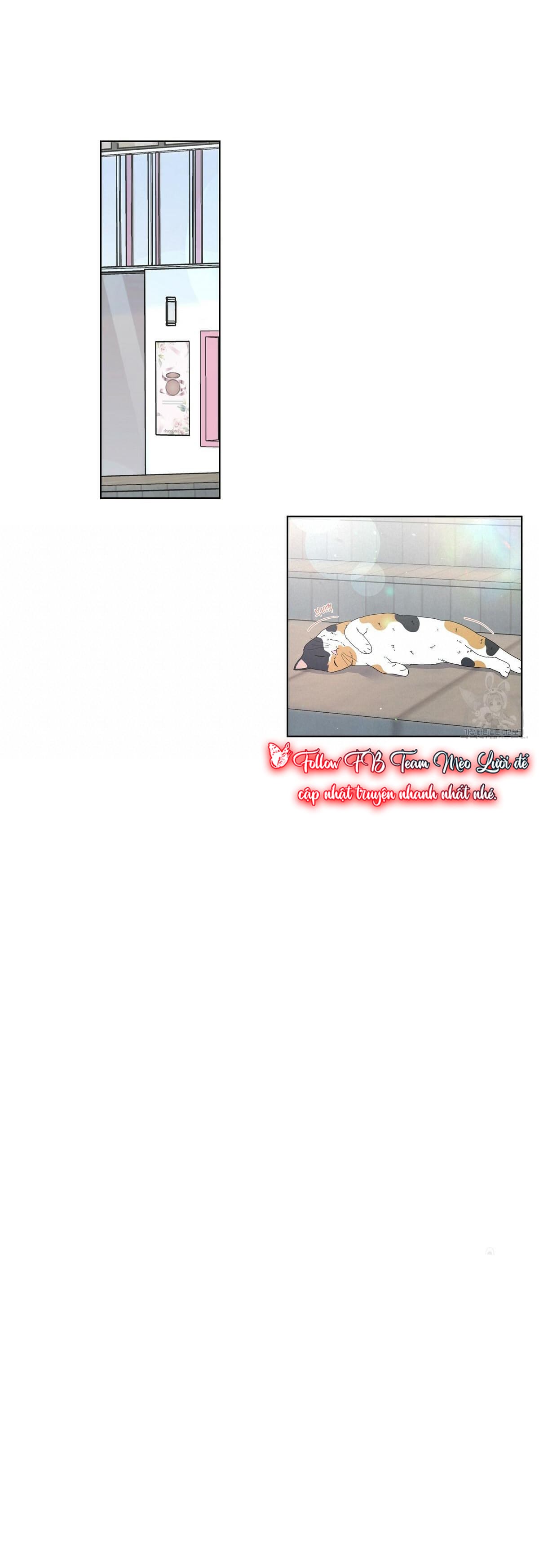 đừng bận tâm, em yêu chapter 18 38