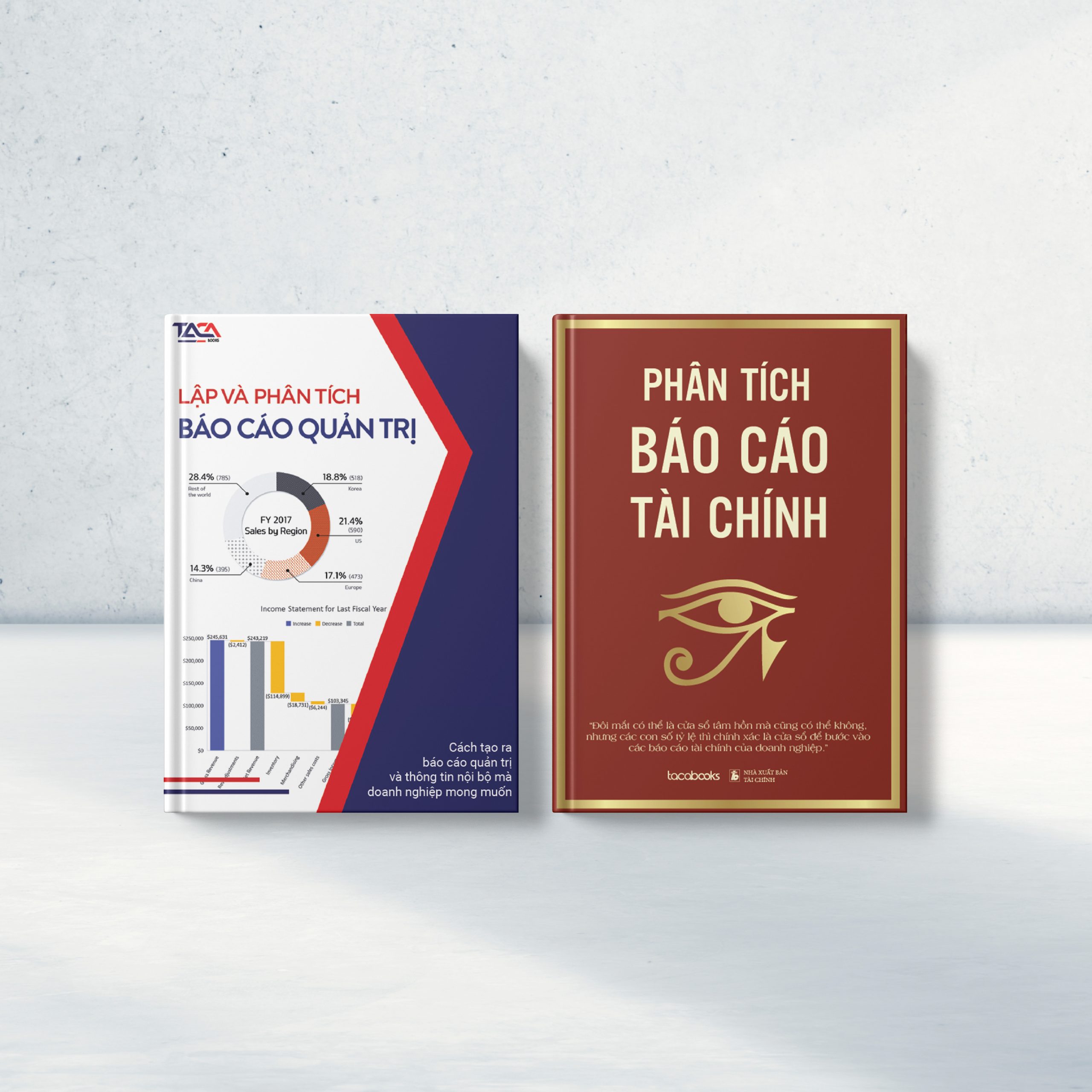 COMBO 2 CUỐN SÁCH BÁO CÁO TÀI CHÍNH &amp; QUẢN TRỊ TRONG DOANH NGHIỆP