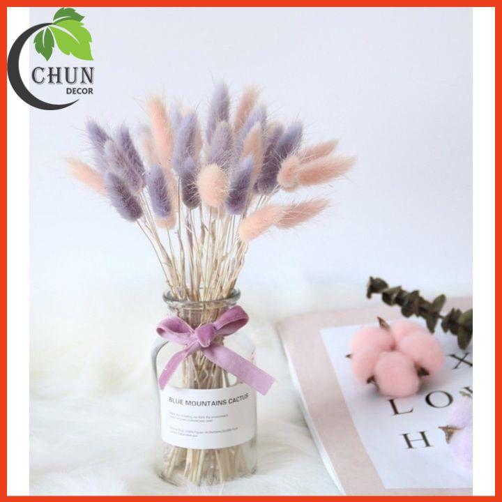 Hoa Khô, Bình Hoa Cỏ Đuôi Cao 25cm Trang Trí Nhà Cửa, Cửa Hàng, Văn Phòng
