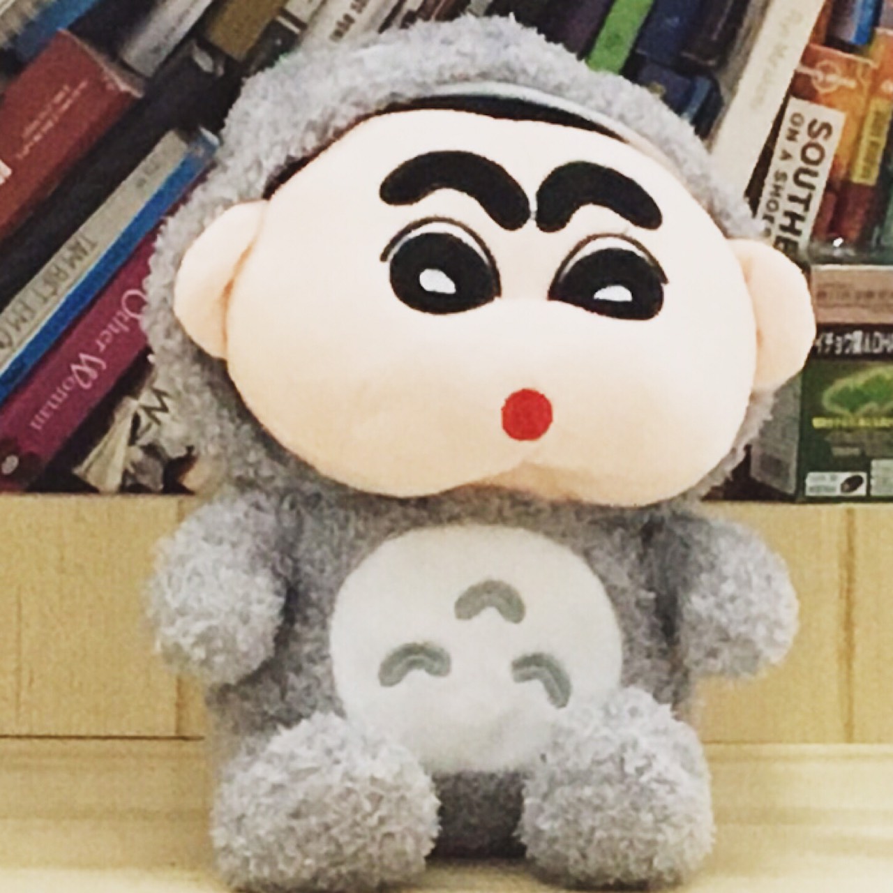 Gấu bông cao cấp Shin áo Totoro