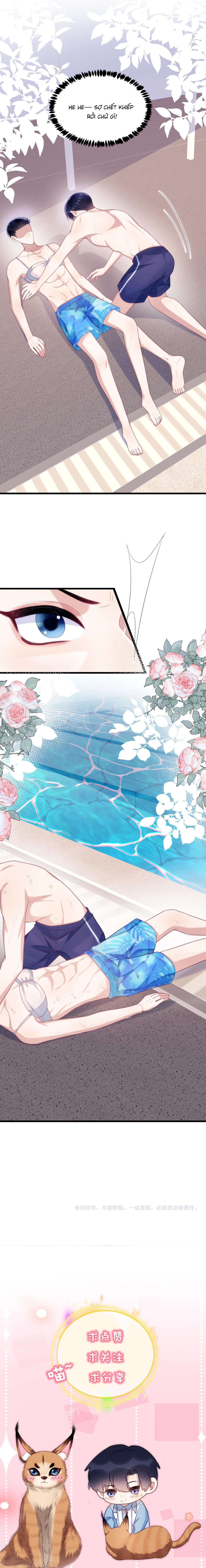 mèo hoang nhỏ của học bá quá chọc người rồi chapter 42 6