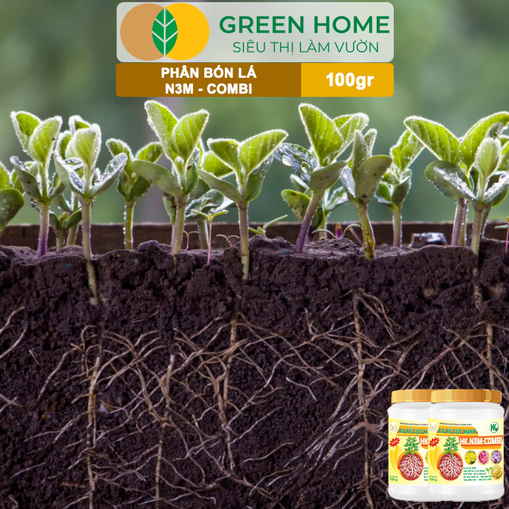 Phân Bón Lá Greenhome, N3M Combi, Hũ 100gr, Ra Rễ Cực Mạnh Dùng Giâm, Chiết Cành, Ngâm Hạt, Kiểng