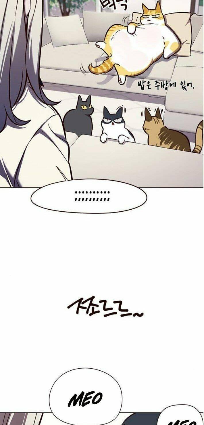 biến thân thành mèo chapter 141 52