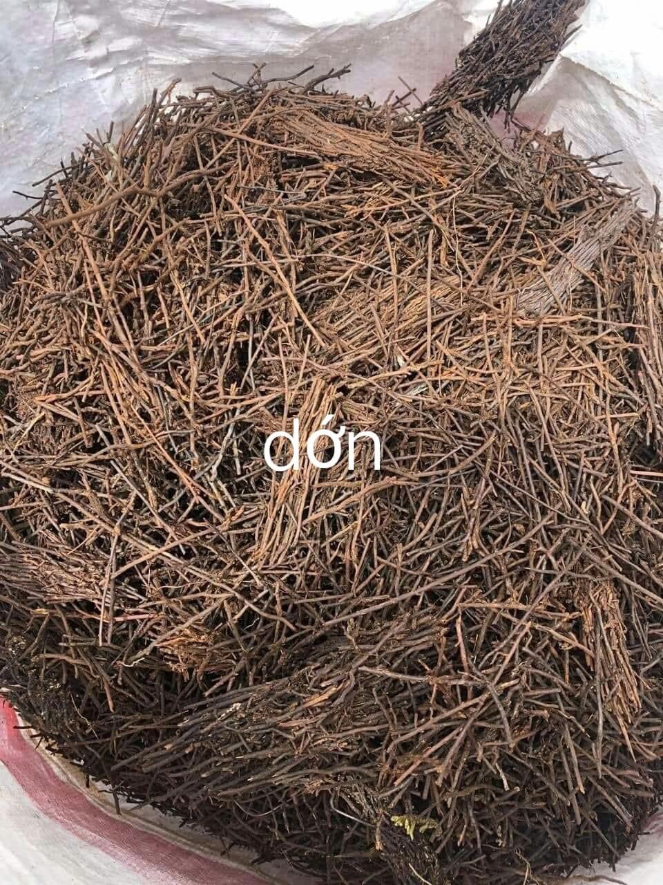 1kg Dớn cọng trồng lan ( thoáng, giư ẩm tốt, ít mục)