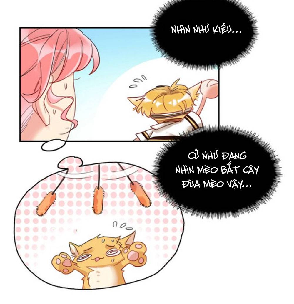 kế hoạch đánh chiếm của công chúa nghèo chapter 20 27