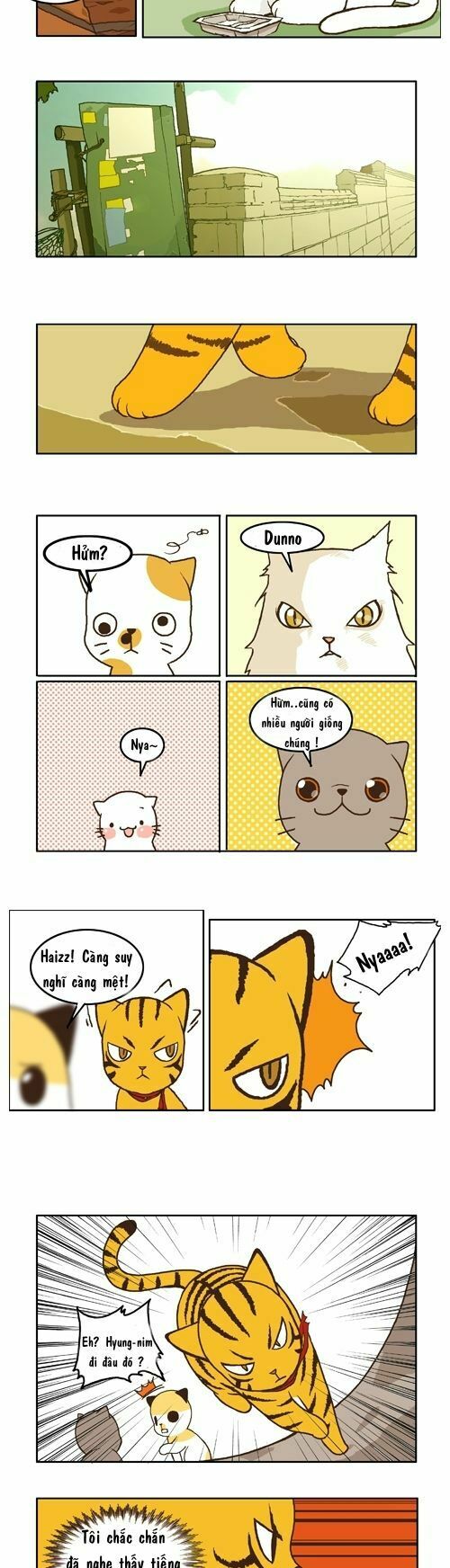 papi nyang chapter 10 5