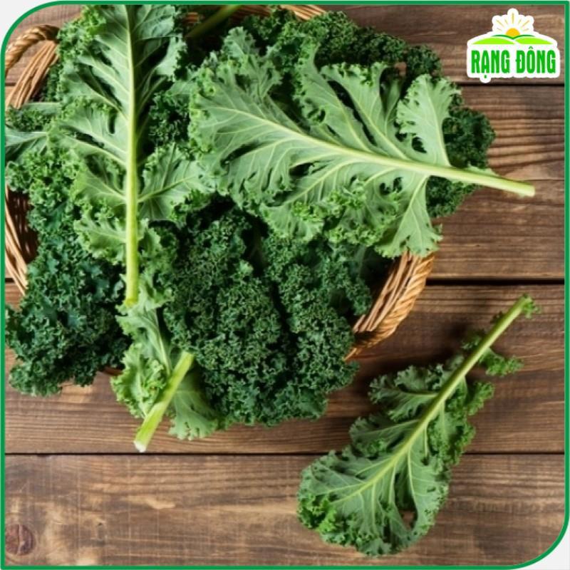 Hình ảnh Hạt giống Cải Xoăn Kale Kháng Bệnh Tốt, Trồng Quanh Năm (gói 5 gram) - Hạt giống Rạng Đông