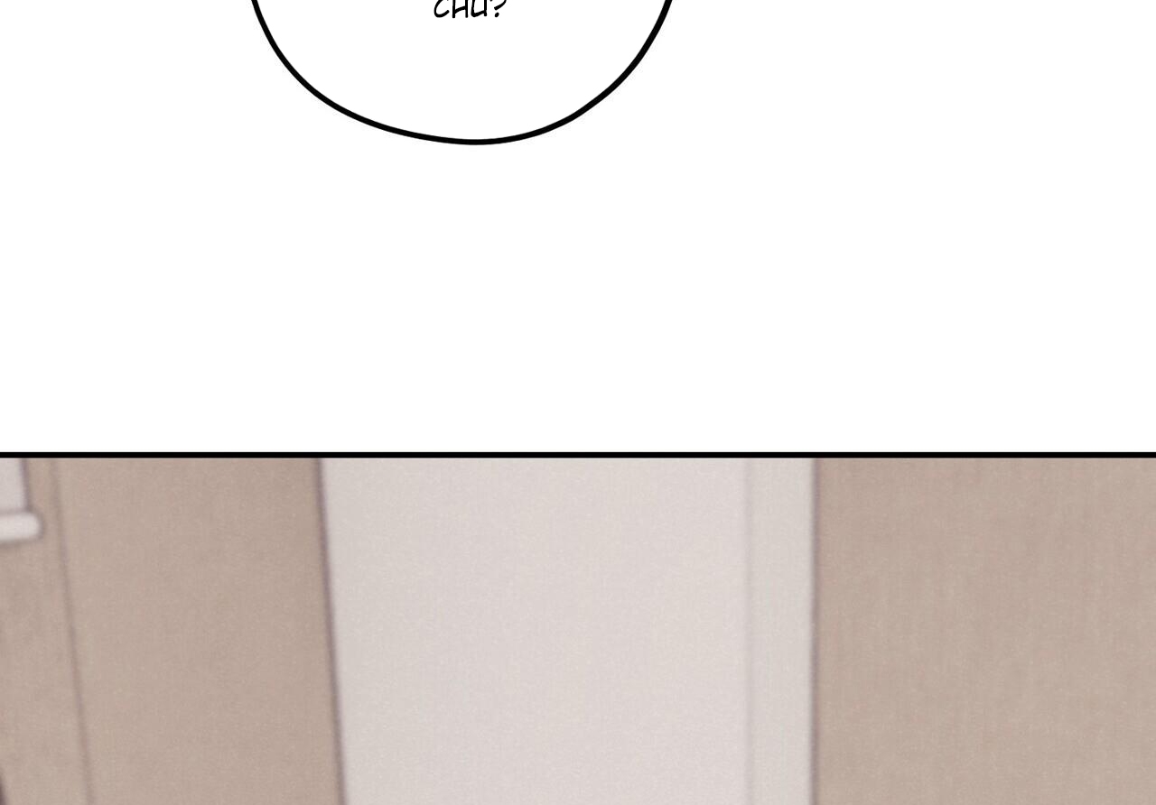 chàng dâu nhà họ kang chapter 33 154