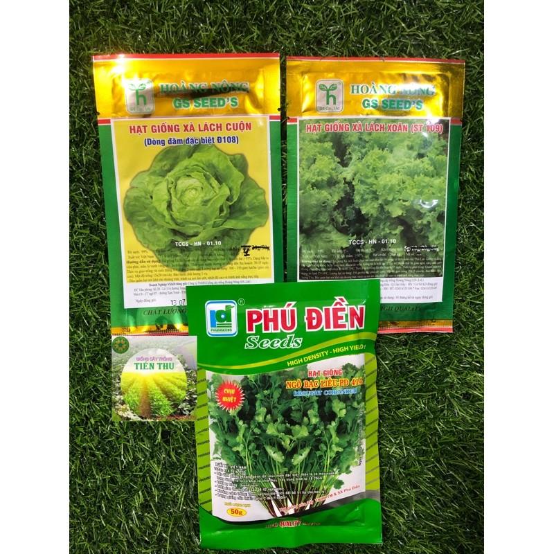 COMBO 3 GIỐNG RAU GIA VỊ XÀ LÁCH VÀ MÙI THƠM VIỆT NAM